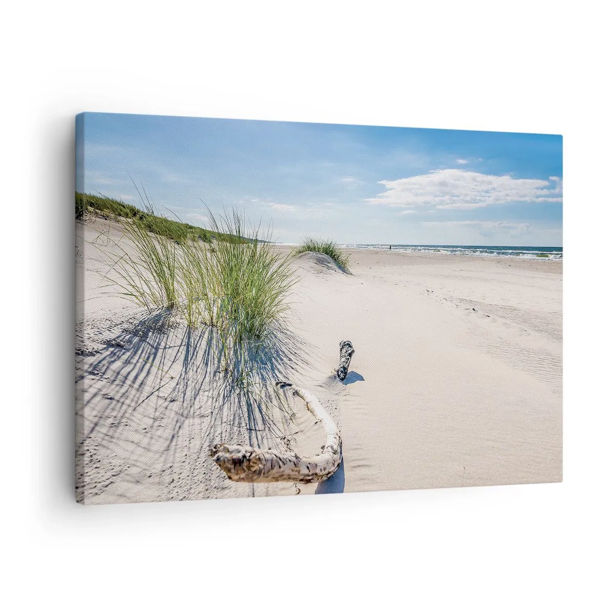 Vászonkép - Balti-tengeri tengerpart homokkal, fűvel és nyugodt kék éggel - 70x50cm - A leggyönyörűbb? A Balti - Modern fali dekoráció nappalihoz és hálószobához ARTTOR