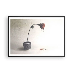 Poszter fehér keretben - Rosa dolorosa - 100x70 cm