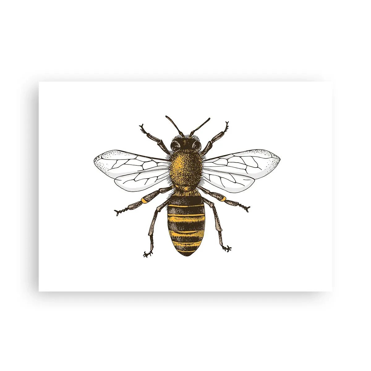 Poszter - Gyönyörű és jó - 70x50 cm