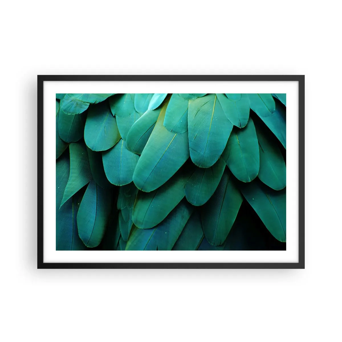 Poszter fehér keretben - A papagájtermészet precizitása - 70x50 cm