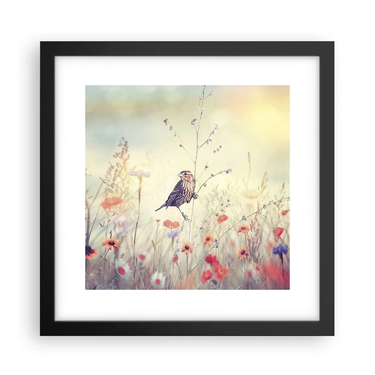 Poszter fehér keretben - Madárportré egy réttel a háttérben - 30x30 cm