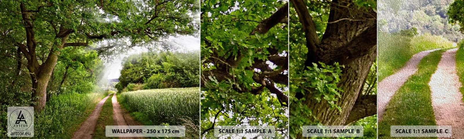 Fotótapéta Minta Premium Sand - Et in Arcadia ego - Tájkép, Földút, Természet - 100x30 cm