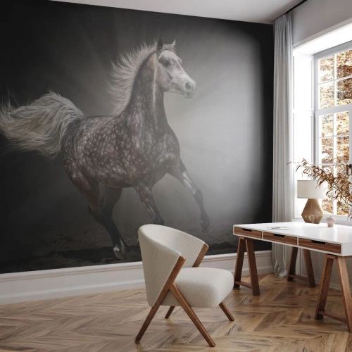 Fotótapéta Premium Sand - A szürke gyönyörű - Állatok, arab ló, Természet - 200x140 cm