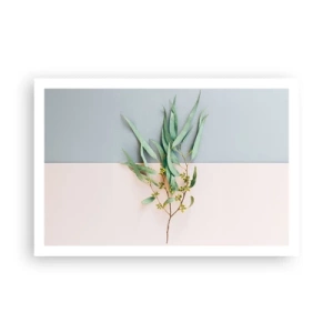 Poszter - Pasztell finomság - 91x61 cm