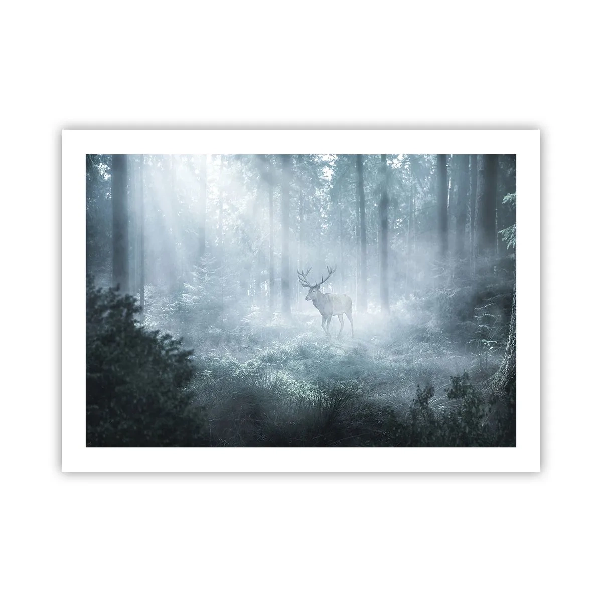 Poszter - Reggeli birtokellenőrzés - 70x50 cm