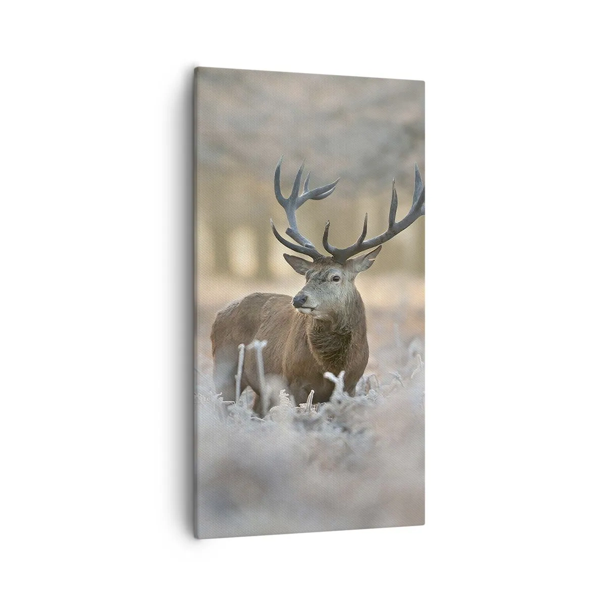 Vászonkép - Friss reggel - 55x100 cm