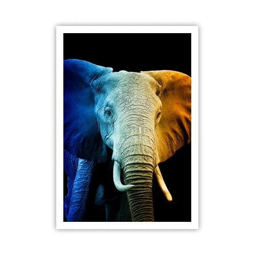 Poszter - Excentrikus, nem különc - 70x100 cm