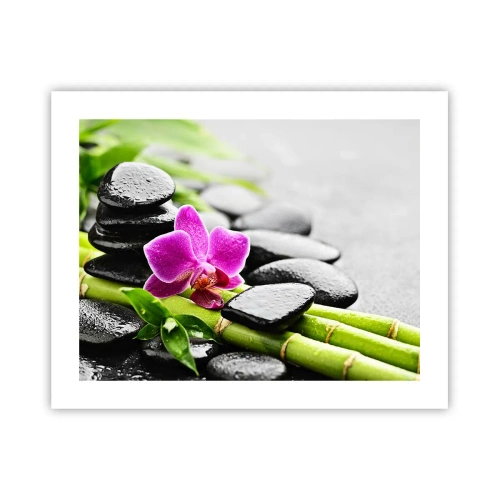 Poszter - Nyugodt egyensúlyban - 50x40 cm