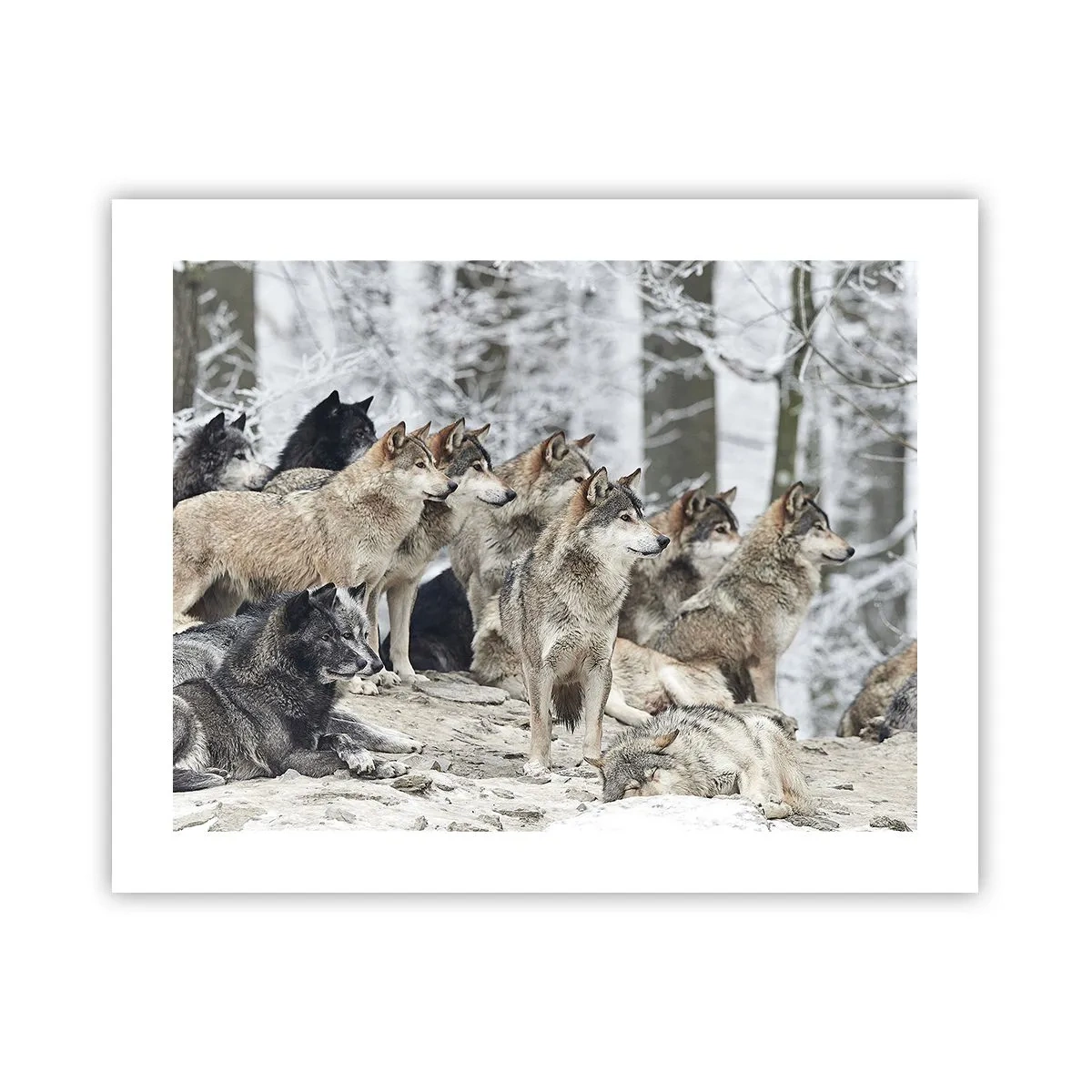 Poszter - Család és barátok - 50x40 cm