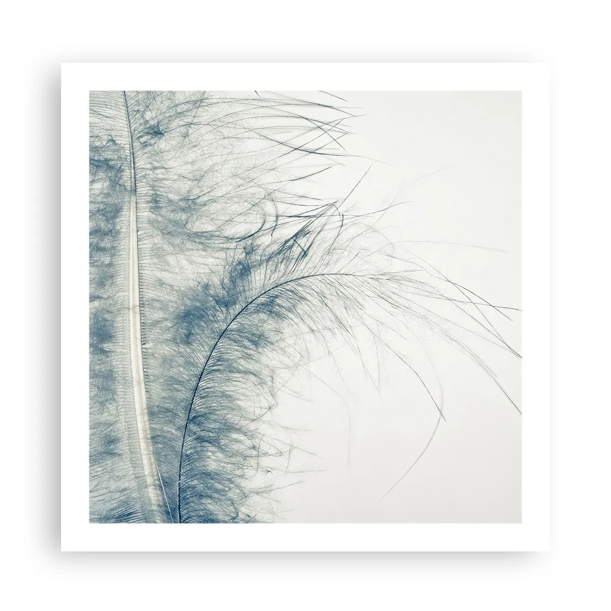 Poszter - A természet suttogása - 60x60 cm