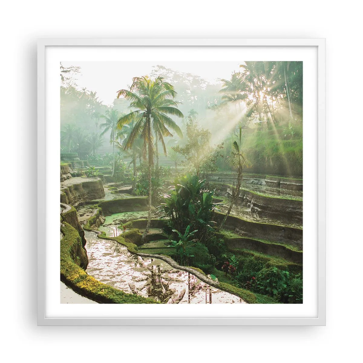 Poszter fekete keretben - Felnőni a napon - 60x60 cm