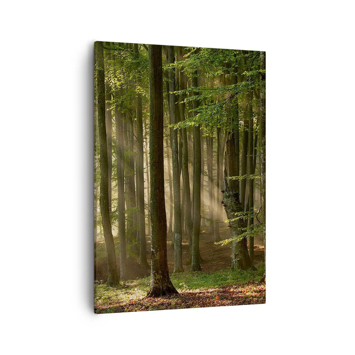 Vászonkép - Ragyogó tavaszi reggelen - 50x70 cm