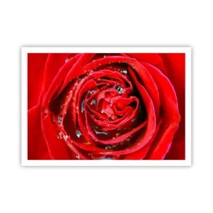 Poszter - A harmatcseppekben - 100x70 cm