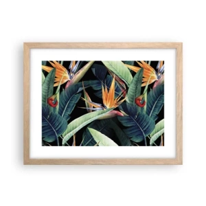 Poszter világos tölgy keretben - A trópusok lángoló virágai - 40x30 cm