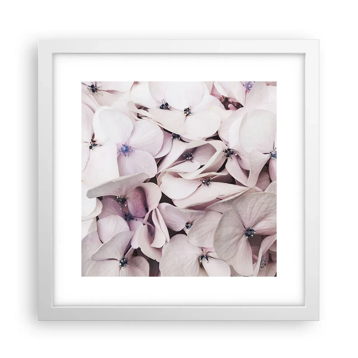 Poszter fekete keretben - A virágok áradatában - 30x30 cm