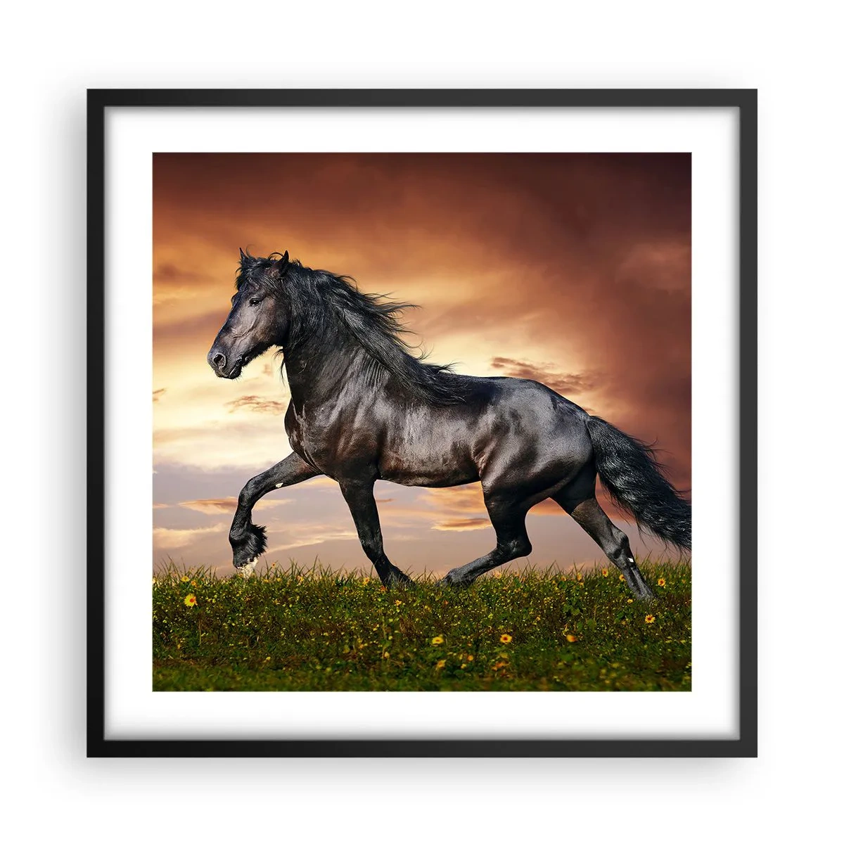 Poszter fehér keretben - Fekete herceg - 50x50 cm