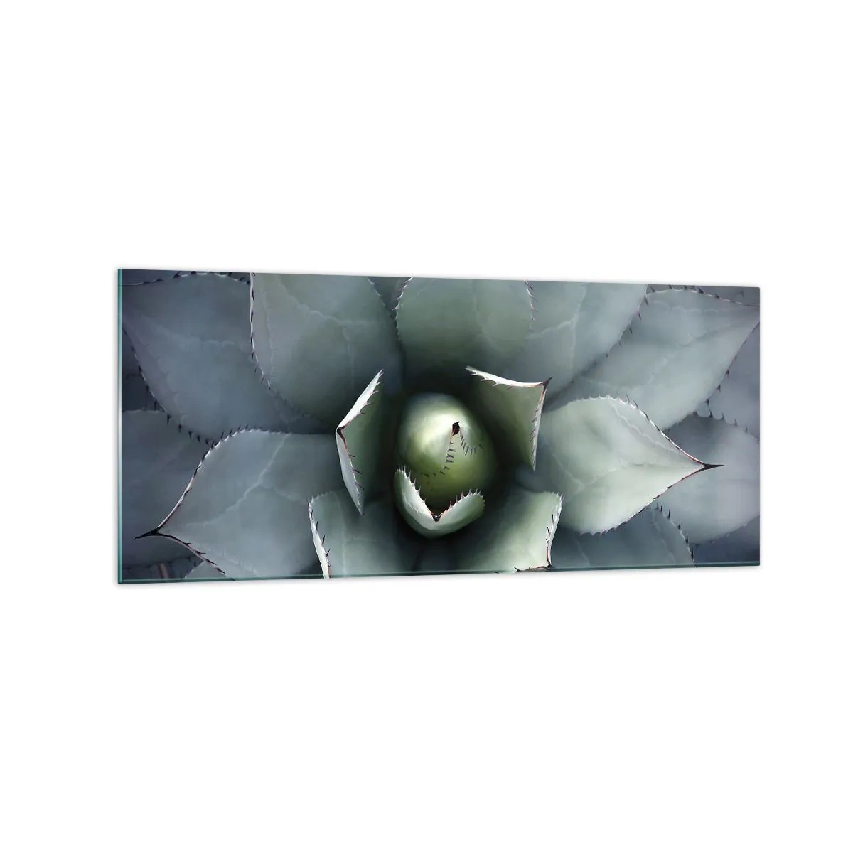 Üveg kép - Wabi és figyelmeztetés - 120x50 cm