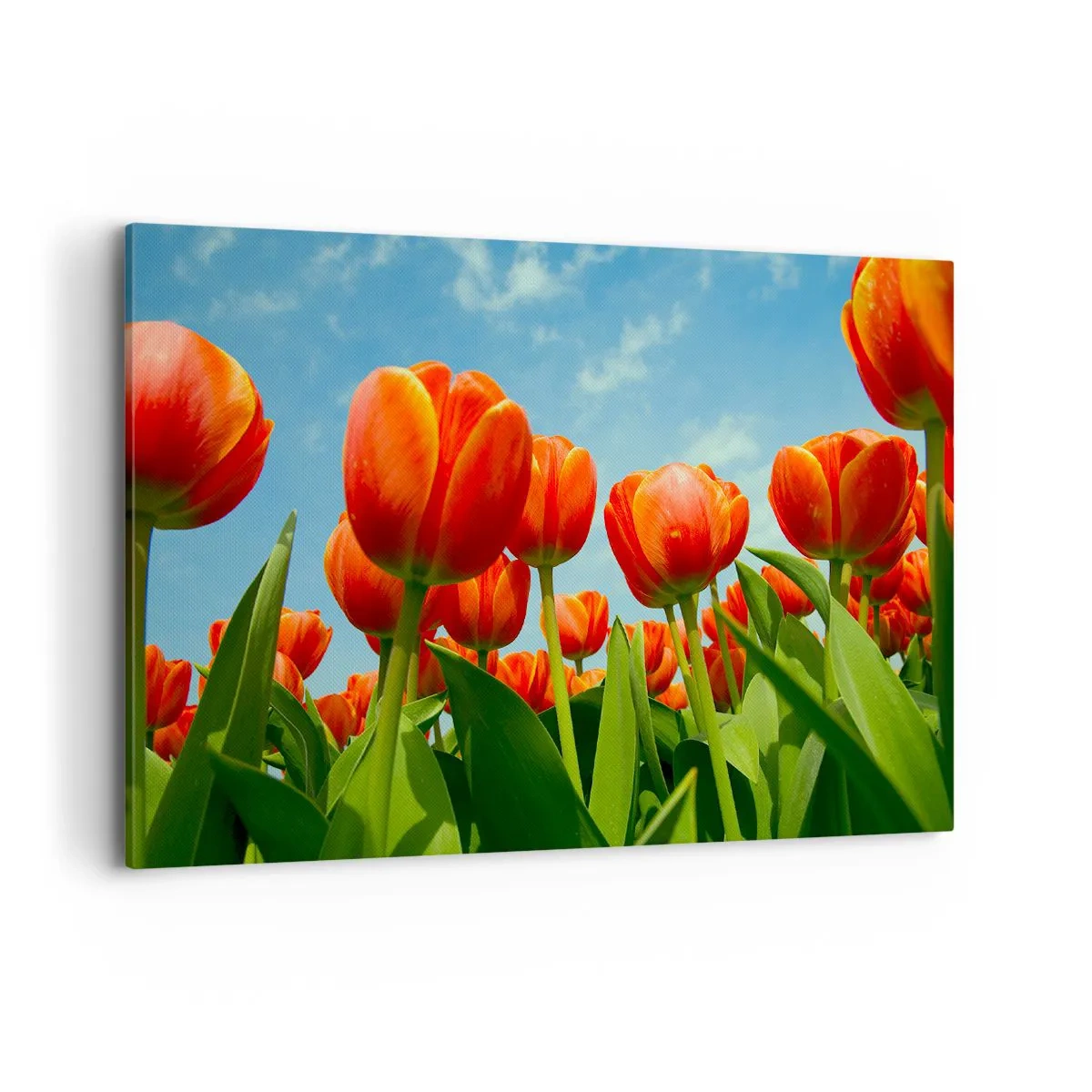 Vászonkép - A kék égen kívül semmire sincs szükségük az életükben - 100x70 cm
