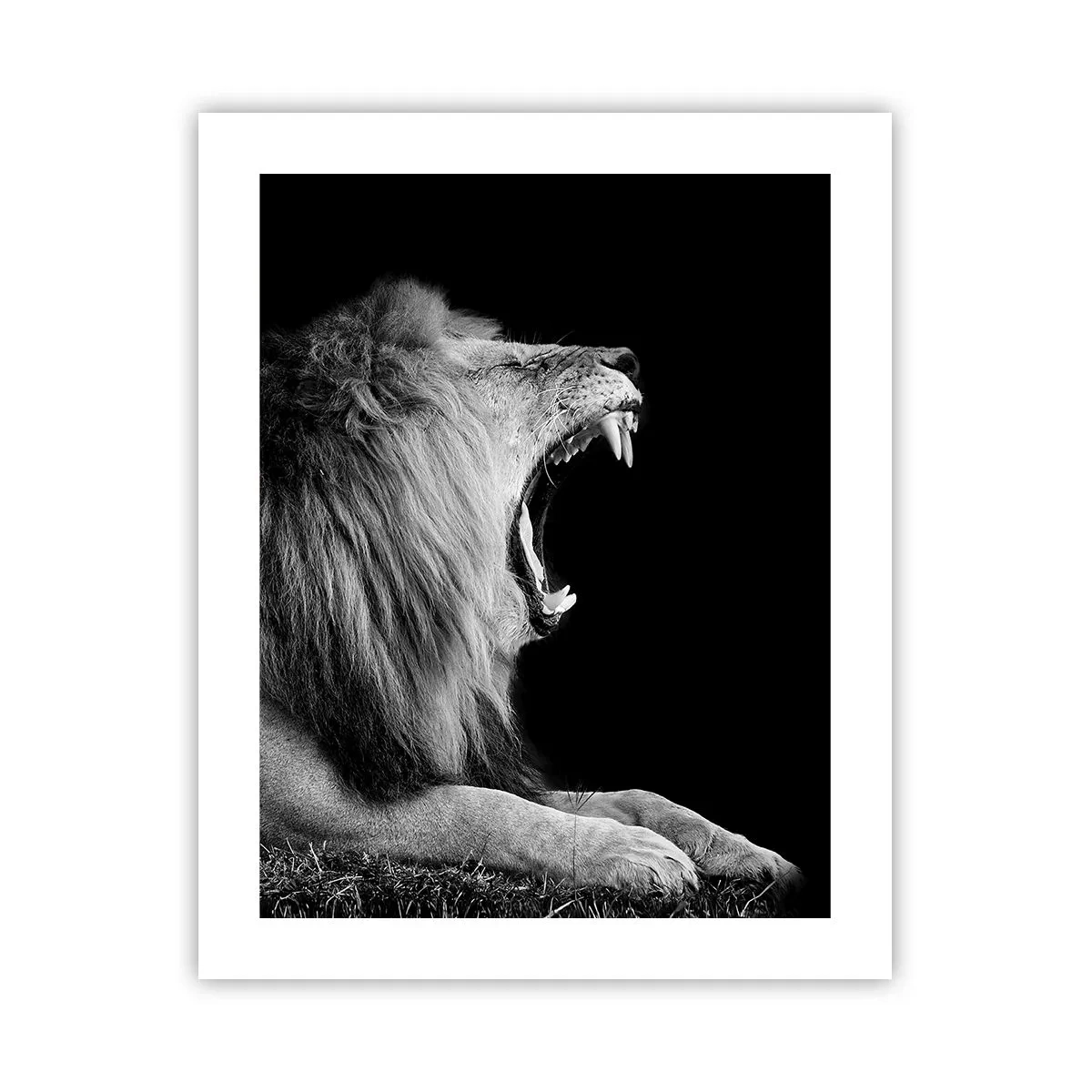 Poszter - Kétség nélkül - 40x50 cm