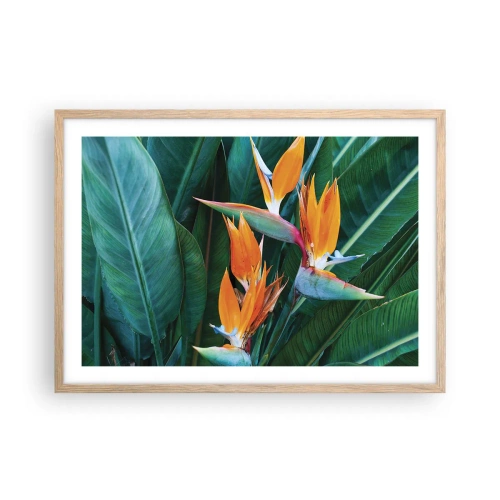 Poszter világos tölgy keretben - Virág vagy madár? - 70x50 cm