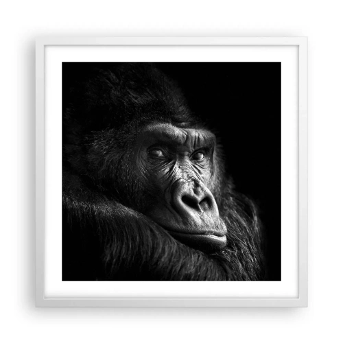 Poszter fekete keretben - Mit bámulsz? - 50x50 cm