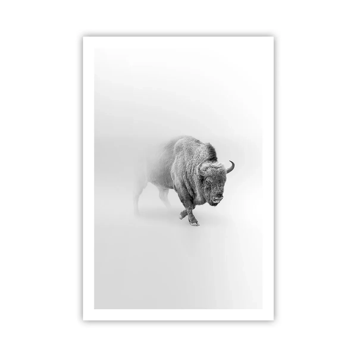 Poszter - A préri királya - 61x91 cm