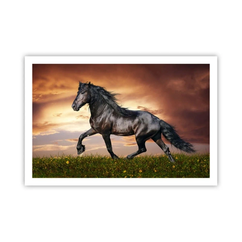 Poszter - Fekete herceg - 91x61 cm