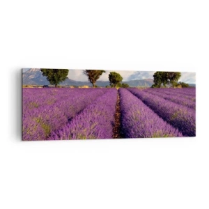 Vászonkép - Levendula mezők - 140x50 cm