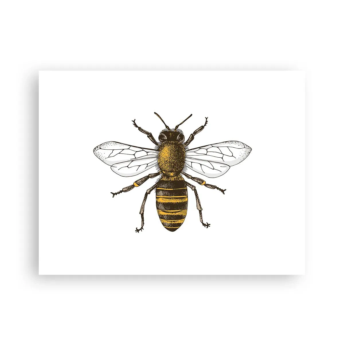 Poszter - Gyönyörű és jó - 40x30 cm