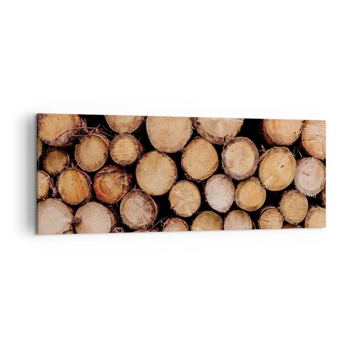 Vászonkép - Egy új kezdet - 140x50 cm