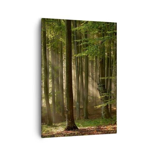 Vászonkép - Ragyogó tavaszi reggelen - 50x70 cm