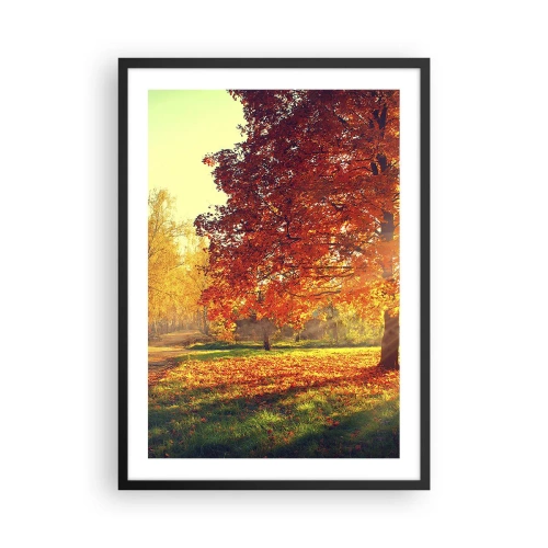 Poszter fehér keretben - Őszi park egy fával, aranyló levelekkel a napon - 50x70cm - A vörös gyönyörű - Modern fali dekoráció nappalihoz és hálószobához ARTTOR
