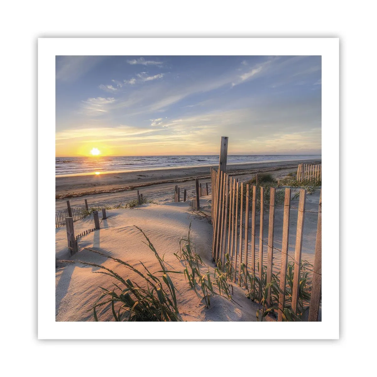 Poszter - A szél ragyogása és árnyéka - 60x60 cm