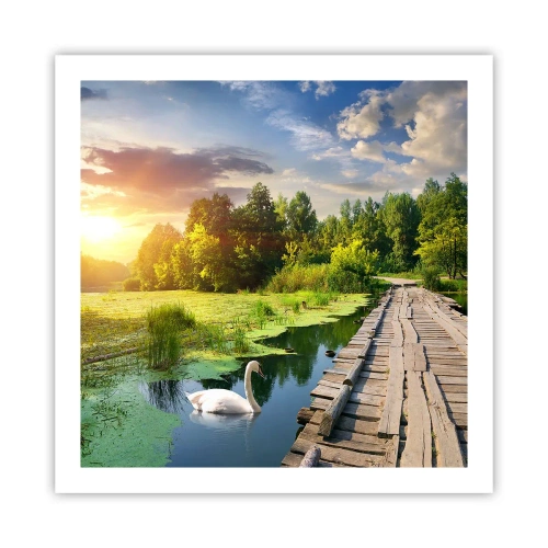 Poszter - Nyár, mindenhol nyár - 60x60 cm