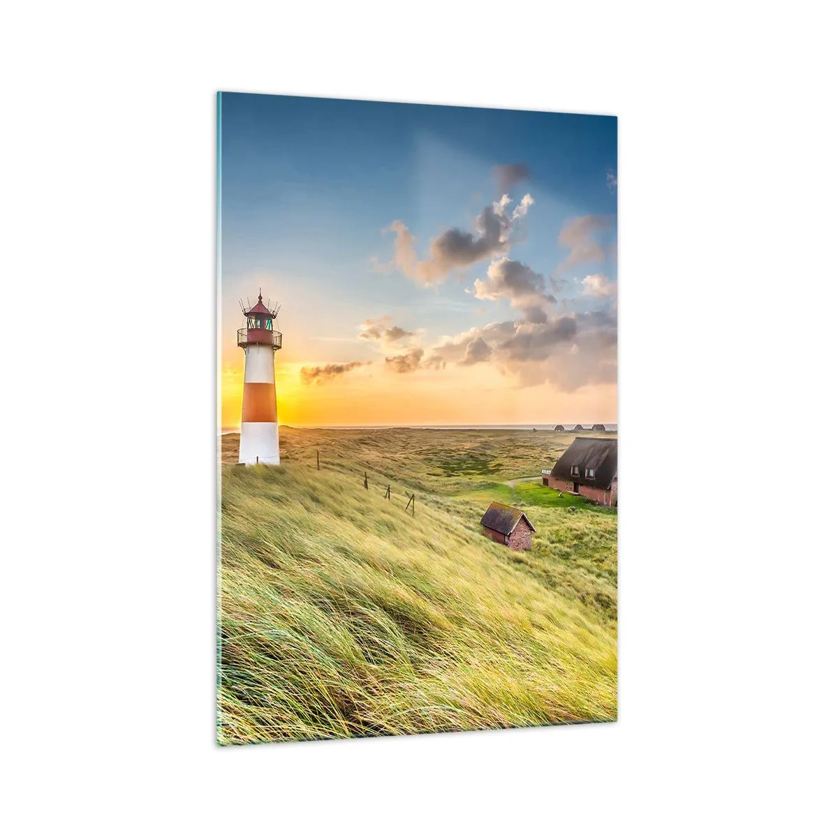 Üveg kép - A hullámok között - 70x100 cm