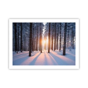 Poszter - Egyértelműen fekete-fehéren - 70x50 cm