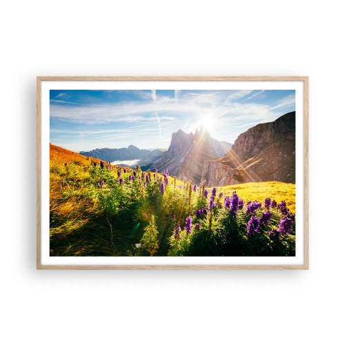 Poszter világos tölgy keretben - A gyógynövények titkos élete - 100x70 cm