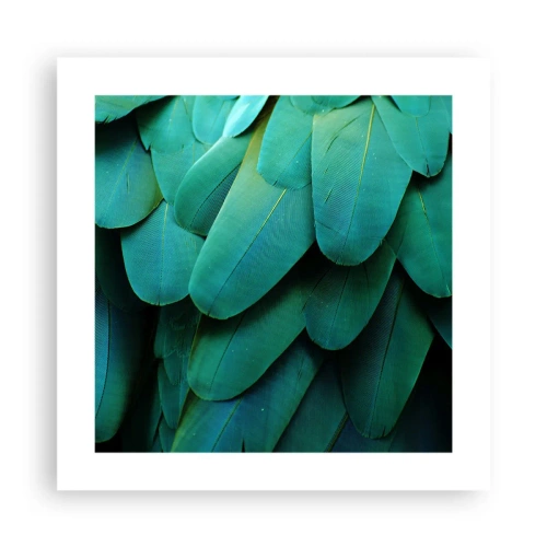 Poszter - A papagájtermészet precizitása - 40x40 cm