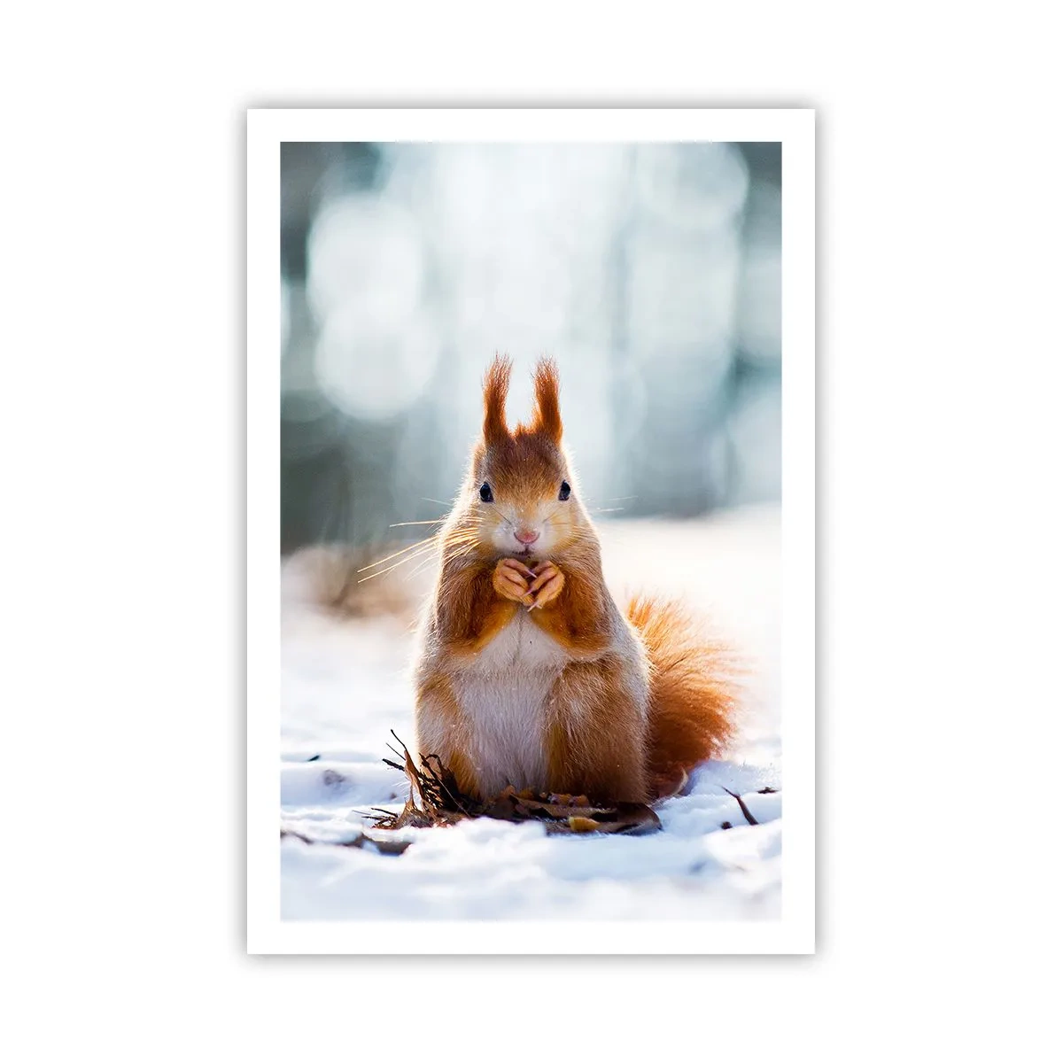 Poszter - Mit nézel? - 61x91 cm