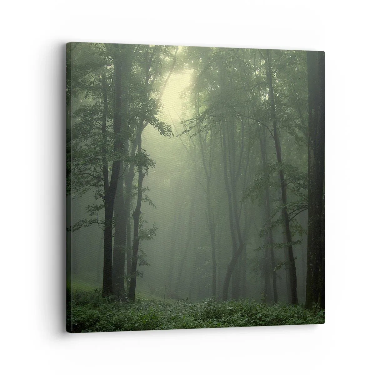 Vászonkép - Mielőtt felébred - 30x30 cm