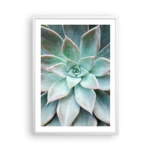 Poszter fekete keretben - A sivatag szíve - 50x70 cm