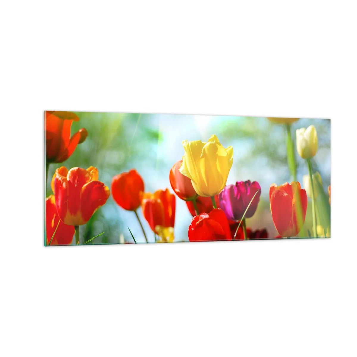 Üveg kép - A nap minden színe - 100x40 cm