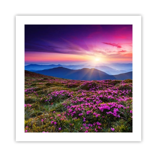 Poszter - A gyógynövények friss fürtjei illatoztak a mezőkről - 50x50 cm