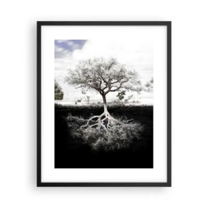 Poszter fehér keretben - A világ természetének felfedezése - 40x50 cm