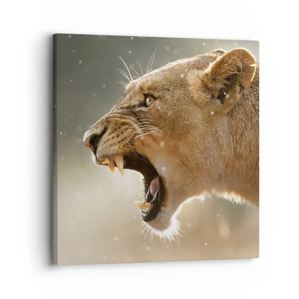 Vászonkép - Próbálj meg nem hallgatni - 30x30 cm