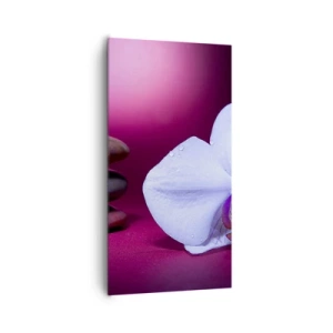 Vászonkép - A frissesség tanulmánya lilában - 65x120 cm