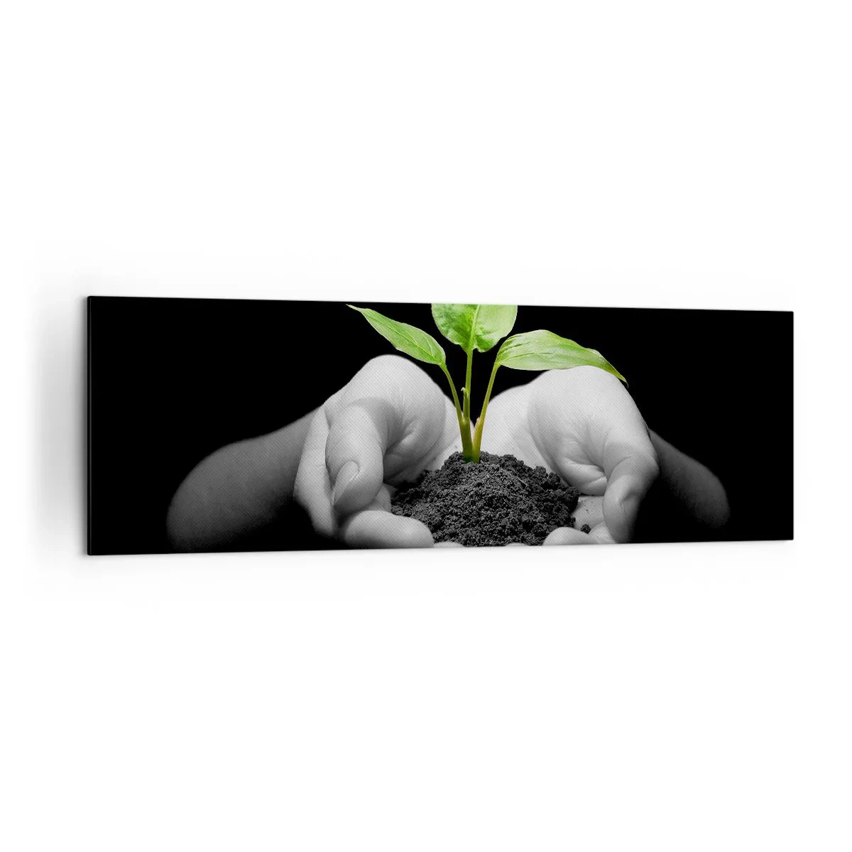 Vászonkép - Szeretem a természetet, védem azt - 160x50 cm