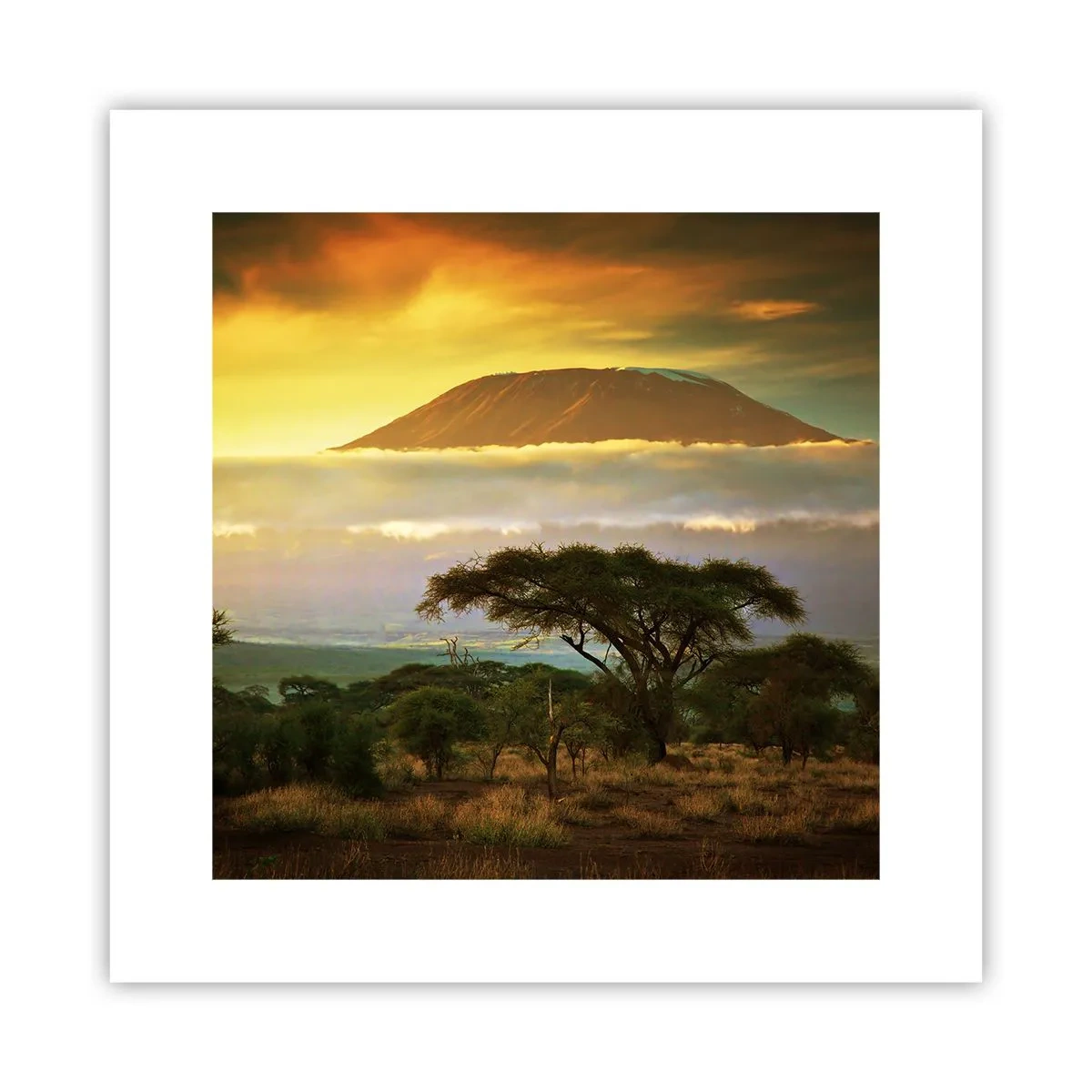 Poszter - Utazó álma - 30x30 cm