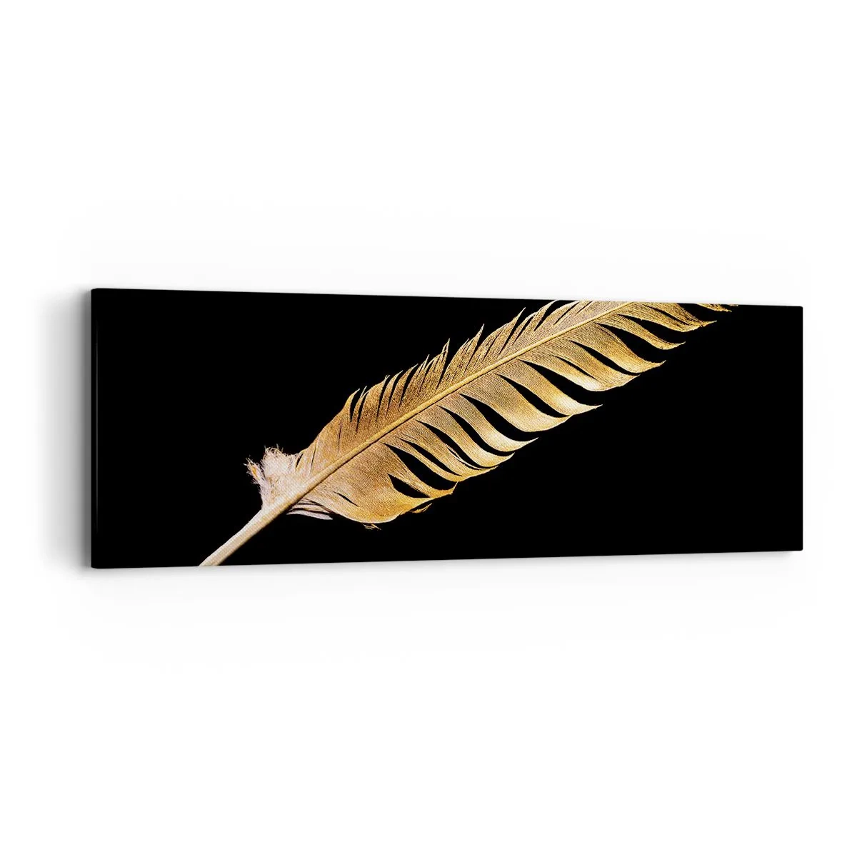 Vászonkép - Tökéletes tollal ellátva - 90x30 cm