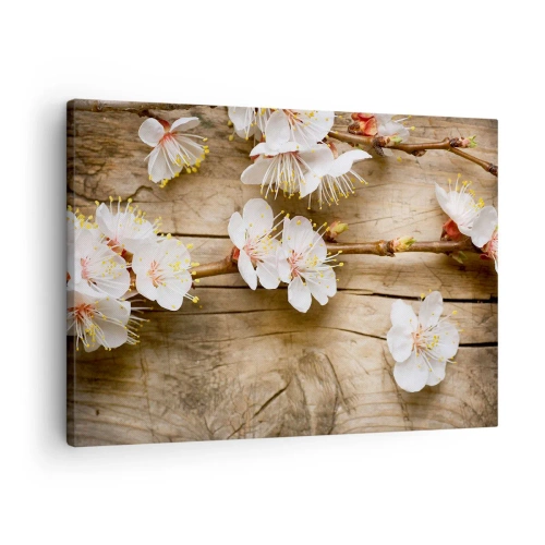 Vászonkép - Virágzó cseresznyefák ágai egy fából készült sakktáblán háttér - 70x50cm - És tavasz lett - Modern fali dekoráció nappalihoz és hálószobához ARTTOR